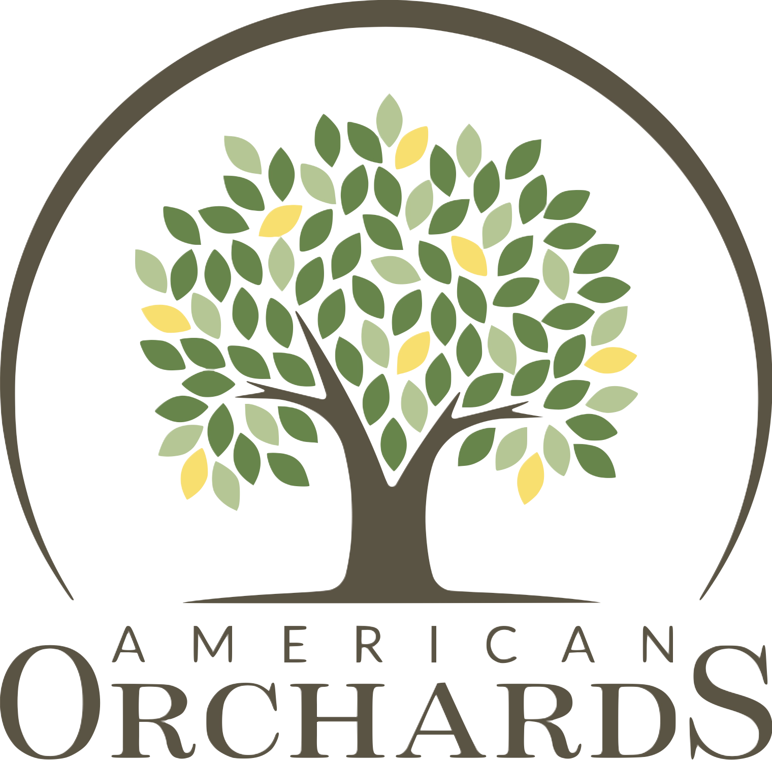 American Orchards Logo